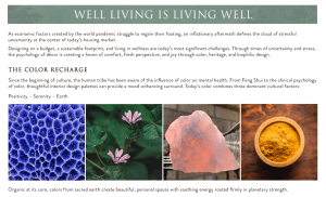 The Psychology Behind Buying Decorative Items for the Home