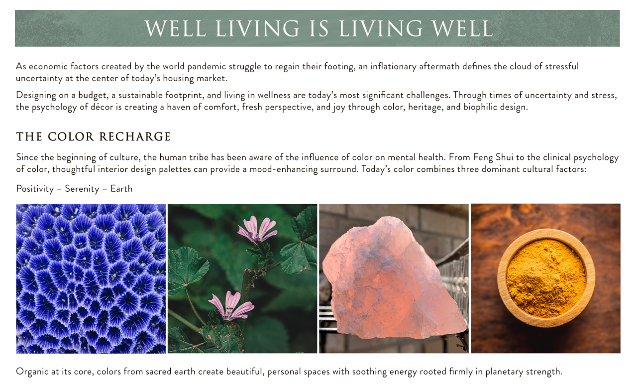 The Psychology Behind Buying Decorative Items for the Home