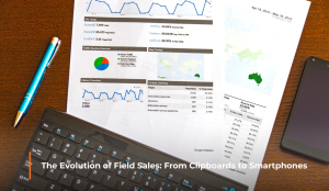 The Evolution of Software Sales in the Digital Marketplace