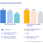 The Impact of Economic Changes on Shopping Habits Unveiled