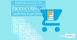 Product Reviews and Their Influence on Technology Sales