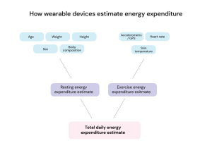 Key Factors That Influence the Purchase of Wearable Gadgets