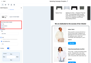 Effective Email Campaigns for Promoting New Gadget Releases