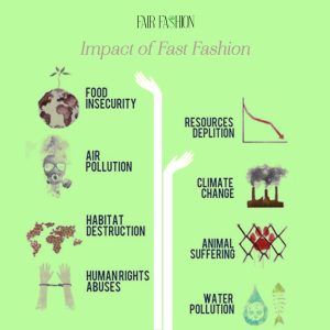 The Rise of Fast Fashion and Its Effect on Consumer Purchases